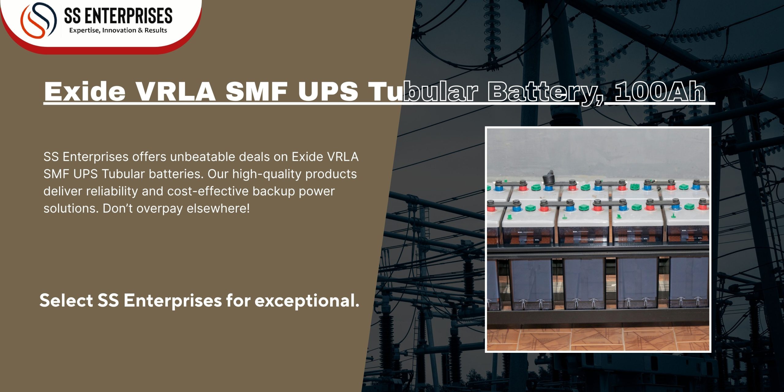 Exide VRLA SMF UPS Tubular Battery 100Ah